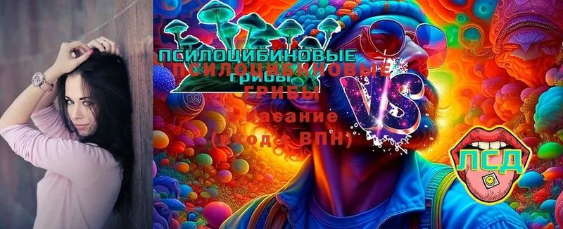 Галлюциногенные грибы Magic Shrooms  купить наркотик  Дзержинский 